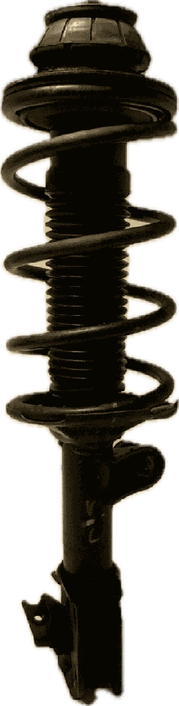 IMG_5150.png