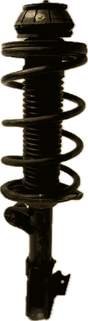 IMG_5151.png