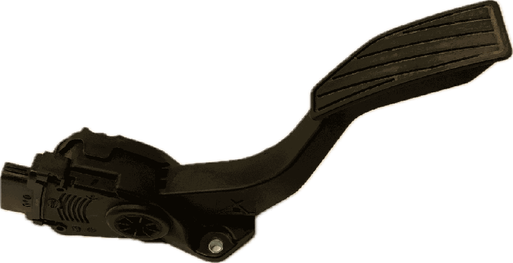 IMG_4987.png