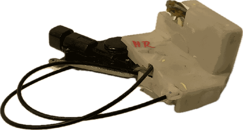 IMG_5054.png