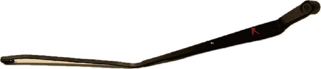 IMG_5041.png