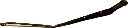 IMG_5041.png