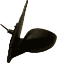 IMG_5633.png