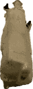 IMG_5698.png