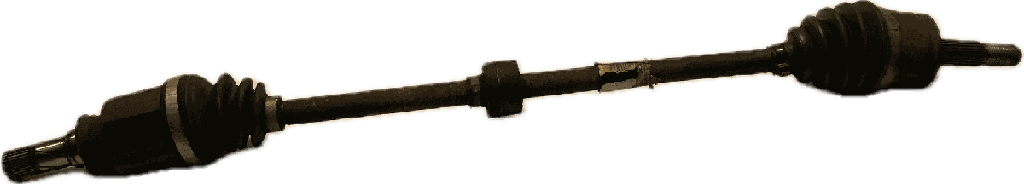 IMG_5737.png