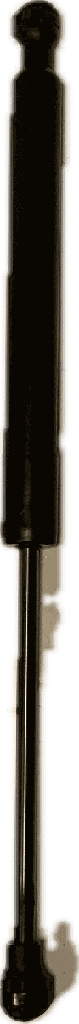 IMG_5875.png