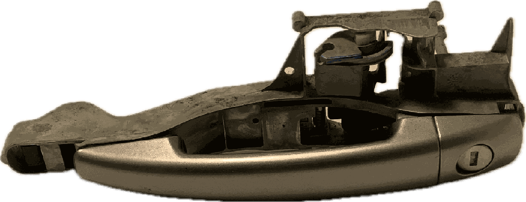 IMG_5919.png