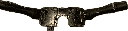 IMG_6081.png
