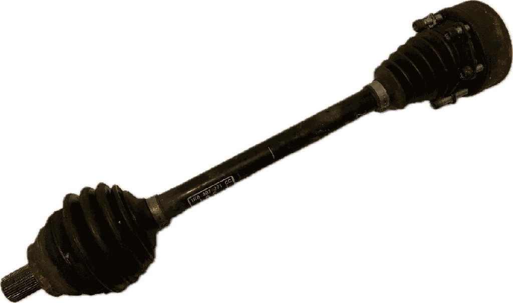 IMG_6364.png