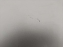 IMG_20251203_113016.jpg