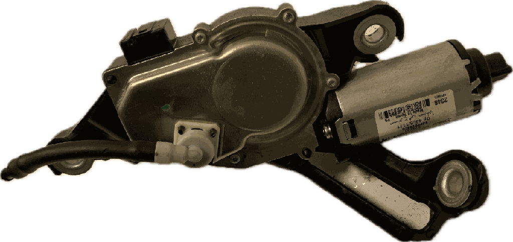 IMG_6464.png