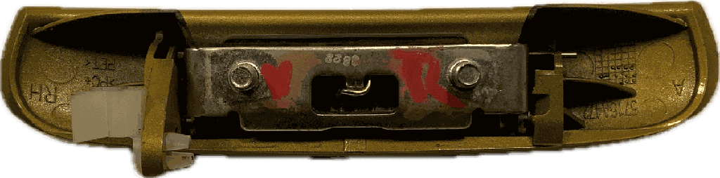 IMG_6919.png