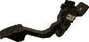 IMG_6896.png
