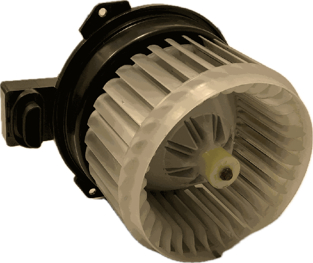 IMG_6879.png