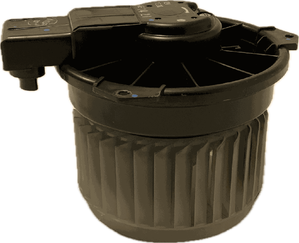 IMG_6878.png
