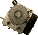IMG_6859.png