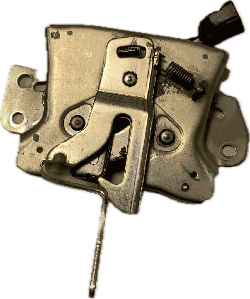 IMG_6972.png