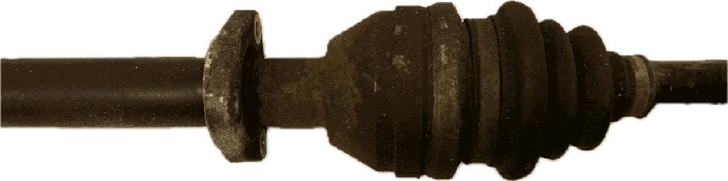 IMG_7486.png