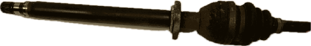 IMG_7484.png