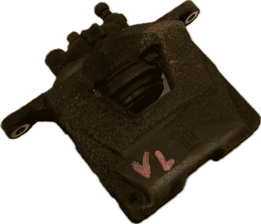 IMG_7463.png