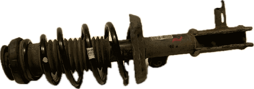 IMG_7462.png