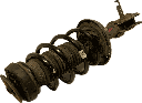 IMG_7461.png