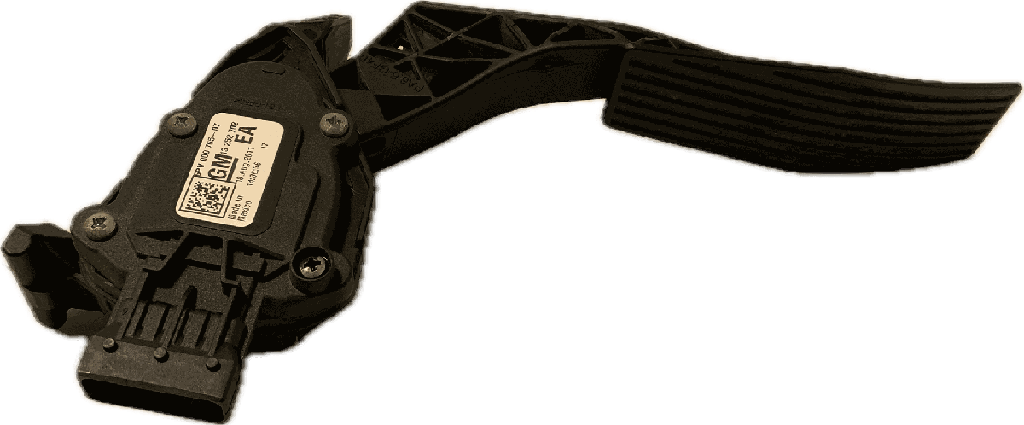 IMG_7338.png