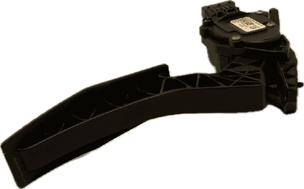 IMG_7337.png
