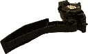 IMG_7337.png