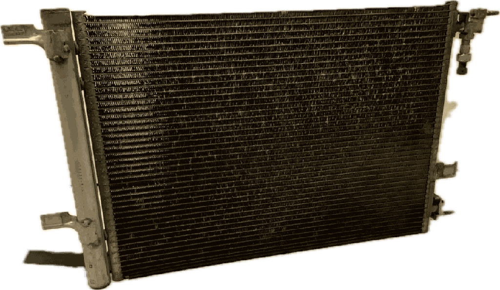 IMG_7437.png