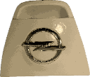 IMG_7387.png