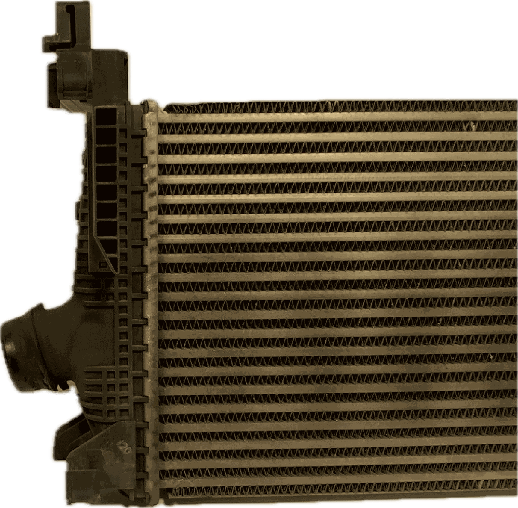 IMG_7446.png