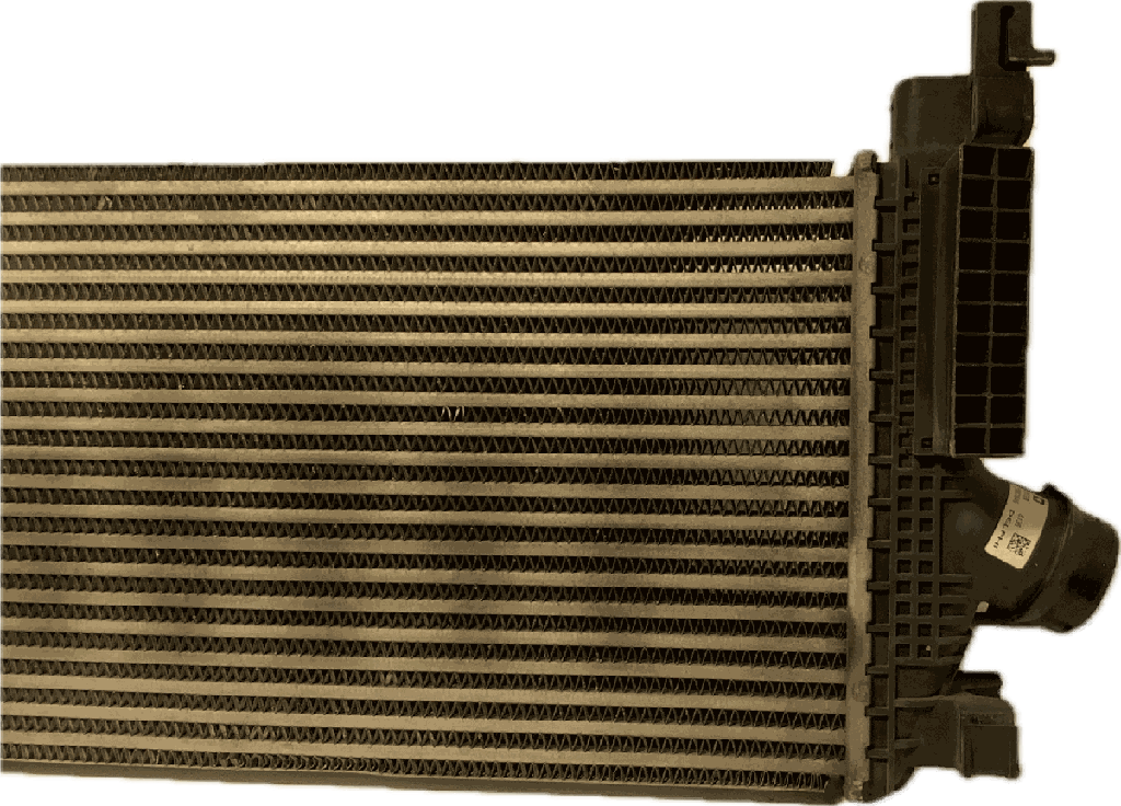 IMG_7445.png