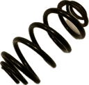 IMG_7419.png
