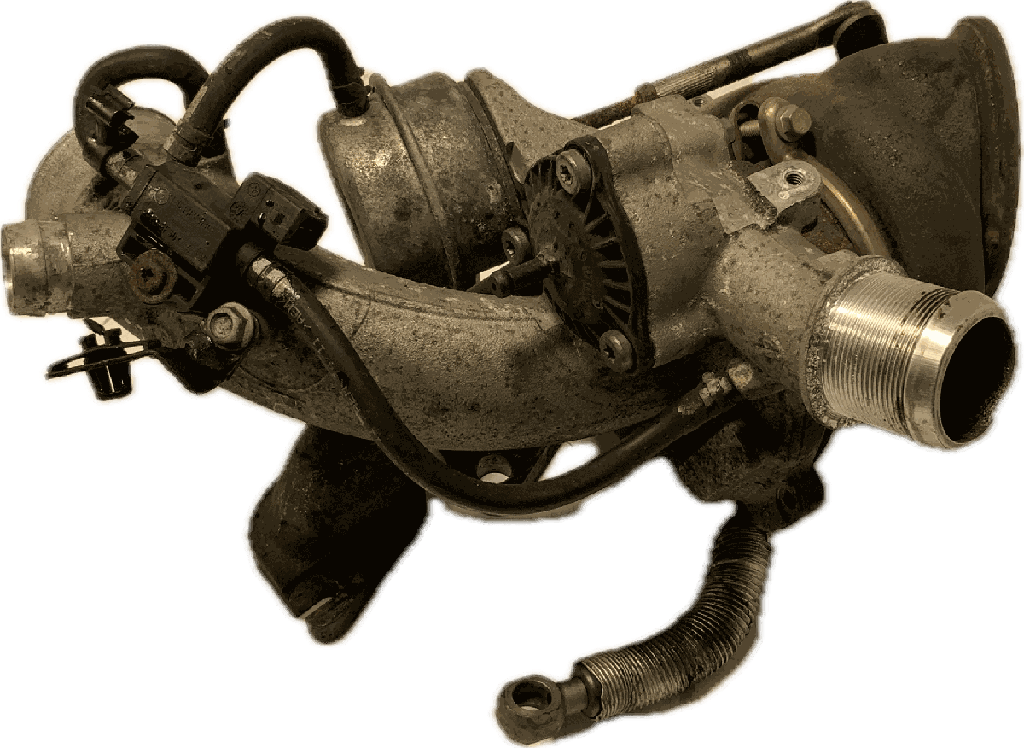 IMG_7431.png