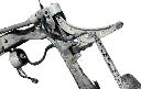 IMG_7520.png