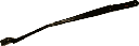 IMG_7379.png