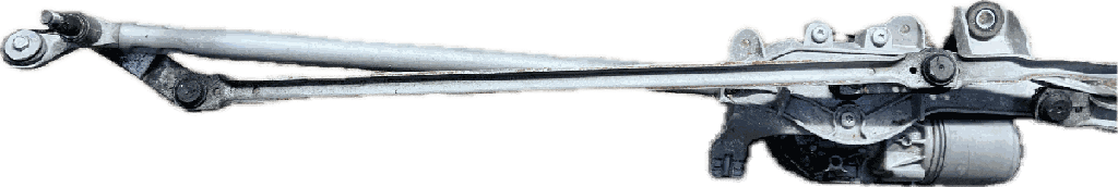 IMG_7448.png