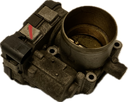 IMG_7772.png