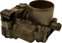 IMG_7774.png