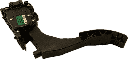 IMG_7681.png