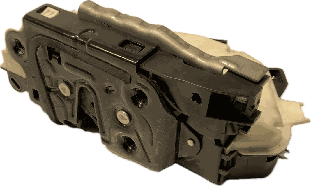 IMG_7762.png