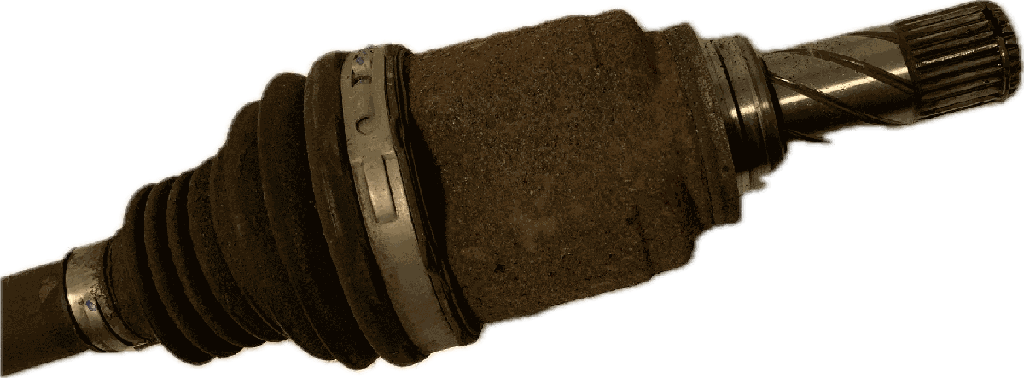 IMG_8028.png