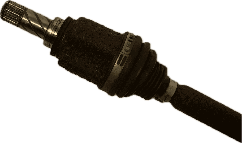 IMG_8025.png