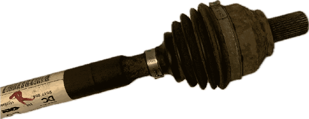 IMG_8024.png