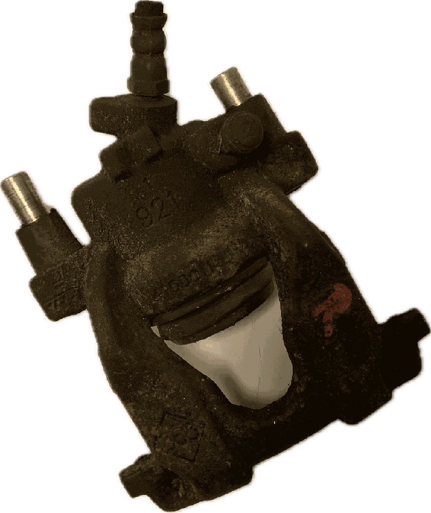 IMG_8035.png