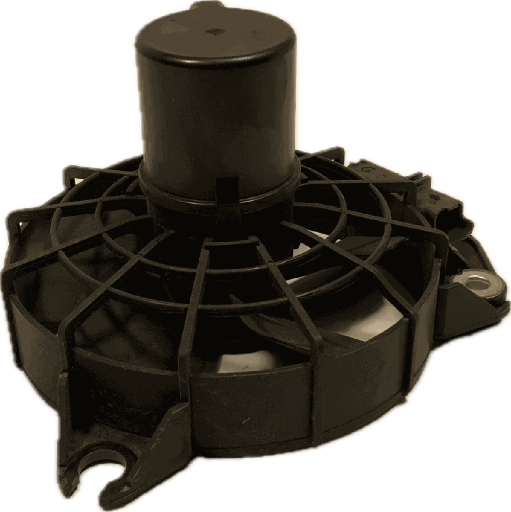 IMG_7946.png