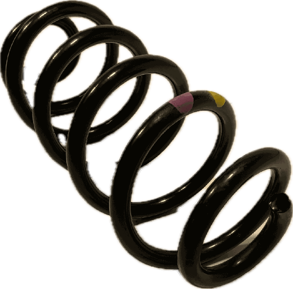 IMG_8008.png