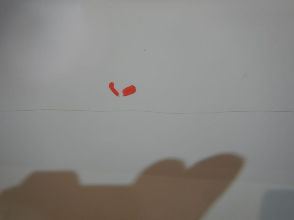 DSCN8538.JPG
