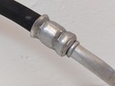 20251217_145948.jpg